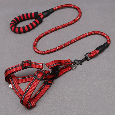 MADONNA LEASH