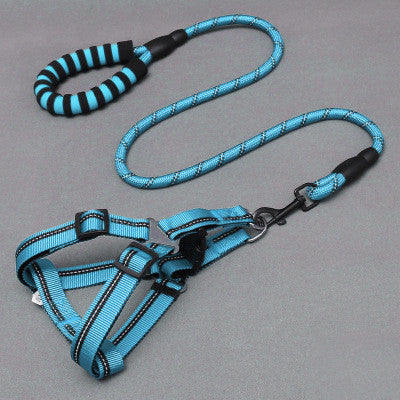 MADONNA LEASH