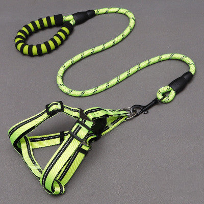 MADONNA LEASH