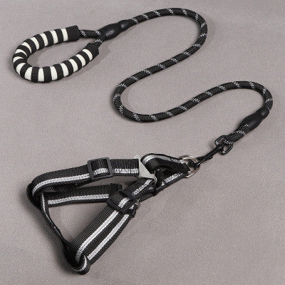 MADONNA LEASH