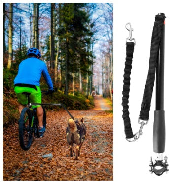 BICYCLE LEASH