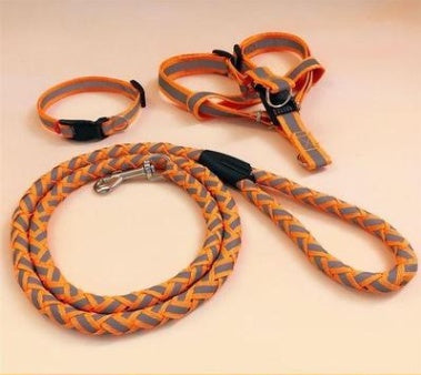 FLUMINEUSE ROPE LEASH